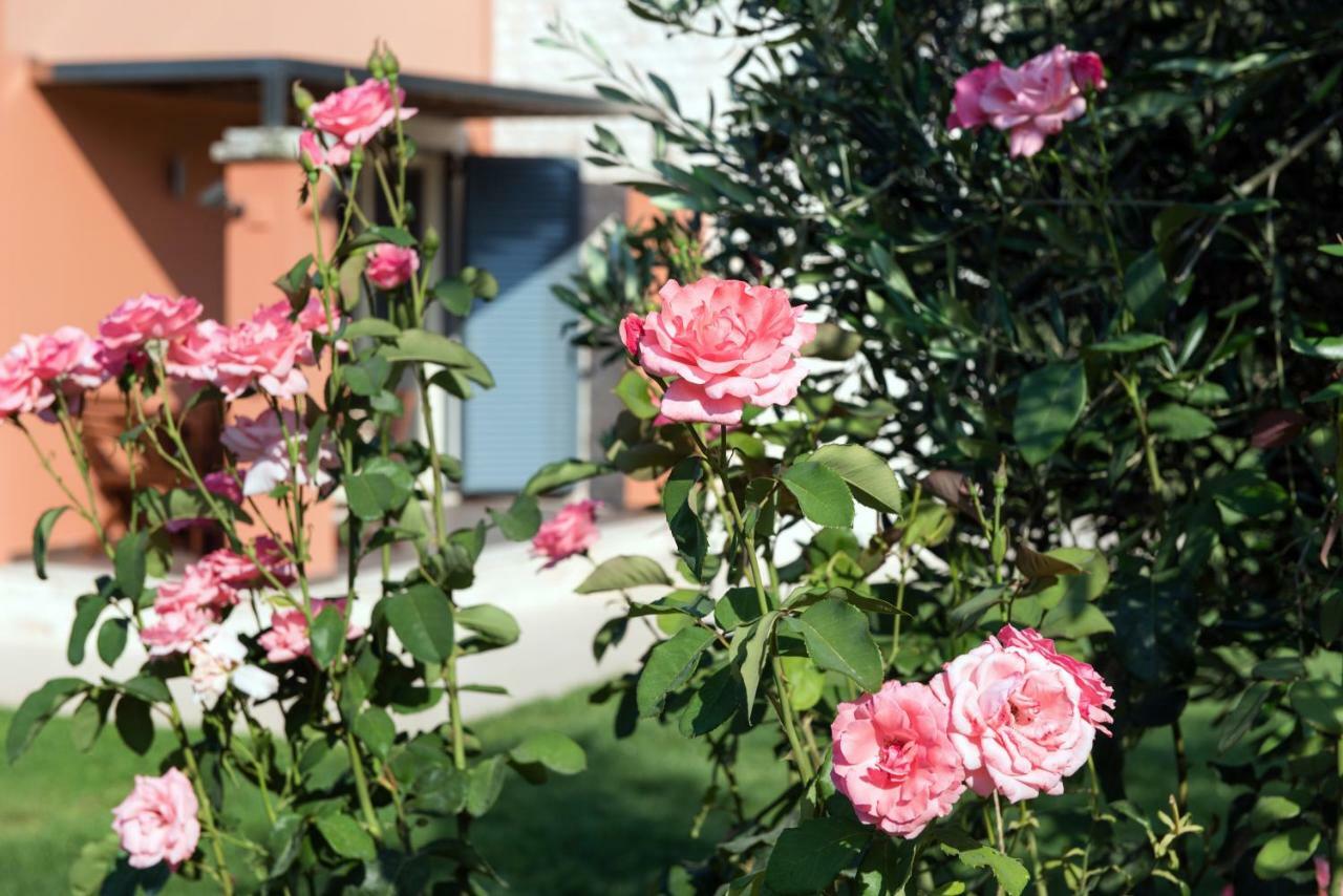 Girasole Villa Limni  Buitenkant foto